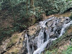 -莫里热带雨林景区