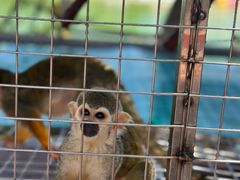 -水上乐园·欢乐世界