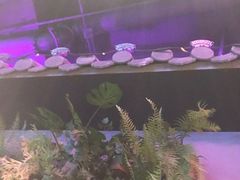 -粉墨特色菜·烧烤音乐酒馆
