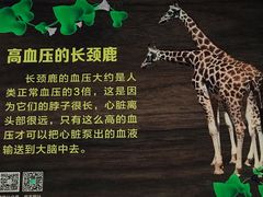 -天津市动物园