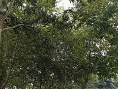 -山东理工大学