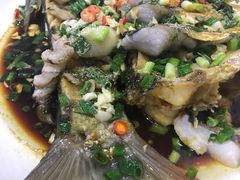 -全乐鱼馆·淳牌有机鱼直营店