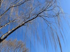 -江川右·一家有态度的粥店(天坛店)