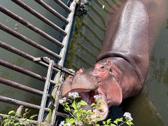 -海南热带野生动植物园