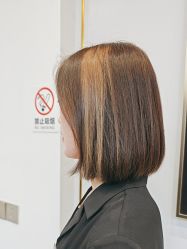 -YESIDO椰岛造型