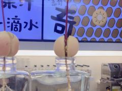 -Mr.Fruits水果先生(蓝色港湾店)
