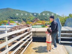 -宁波九龙湖开元度假村