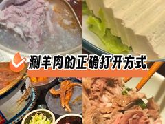 -大白羊蝎子馆(后沙峪山姆店)