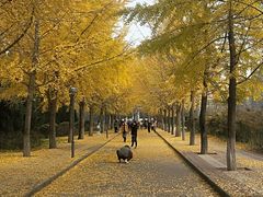 -西北农林科技大学(北校区)