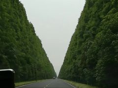 -黄海国家森林公园