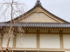 -醍醐寺
