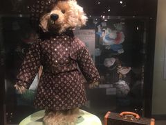 -济州岛泰迪熊博物馆