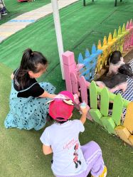 -萌宠亲子动物乐园(槐房万达店)