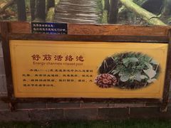 -华山御温泉度假村