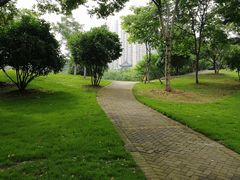 -堤角公园