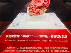 -湖南省地质博物馆