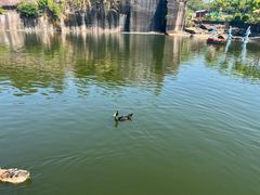 -广州莲花山旅游区