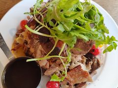 -百好乐宠物友好餐厅(朝外大街店)