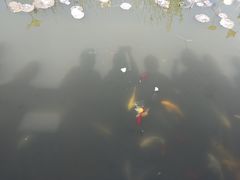 -武清南湖绿博园