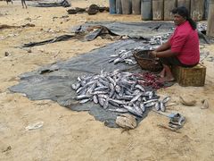 -尼甘布海鲜市场