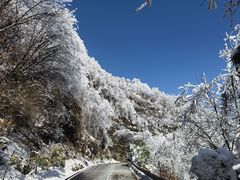 -洛阳白云山景区