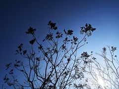 -韶山毛泽东同志故居