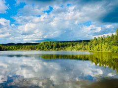 -五营红松林海景区