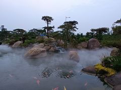 -罗红摄影艺术馆