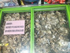 生蚝冷藏柜-大富蚝乌东哥饭店·石锅鱼杂·柠檬鸭(革新路店)
