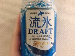 -网走流冰观光破冰船极光号