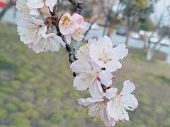-宿迁学院