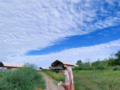 -草原天路(张北县)