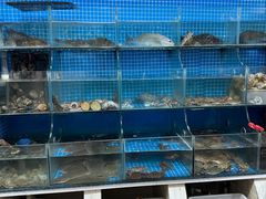 -宾朋海鲜美食餐厅·特色美食(兴海路店)