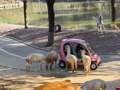 -北京野生动物园