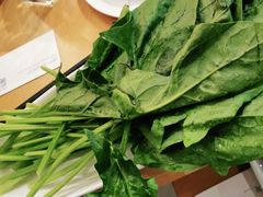 -湯系·煲汤手艺人(东二环泰禾广场店)