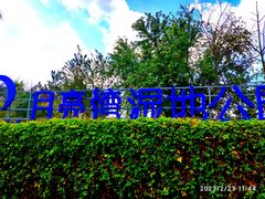 -月亮湾湿地公园