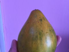-三亚新鸿港水果一级批发市场