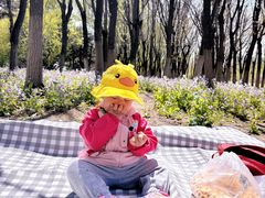 -长白岛森林公园