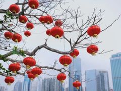 -万绿园