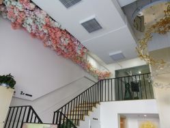 -麗宫轻医美·问题肌肤管理中心