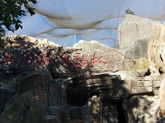 -燕塞湖鸟语林景区