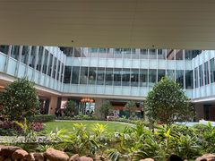-香港大学