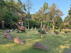 -南山植物园