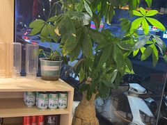 -开蚝屋