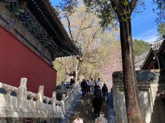 -潭柘寺景区