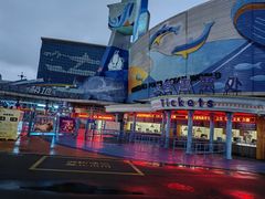-海合安青岛极地海洋公园