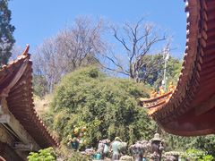 -圆通禅寺