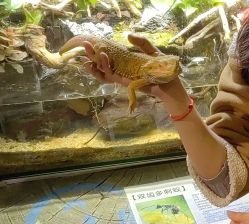 -酷嗒动物文化乐园(cutezoo西溪乐天城店)