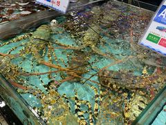 -渔民新村(番禺总店)