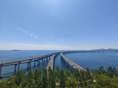 -星海湾跨海大桥